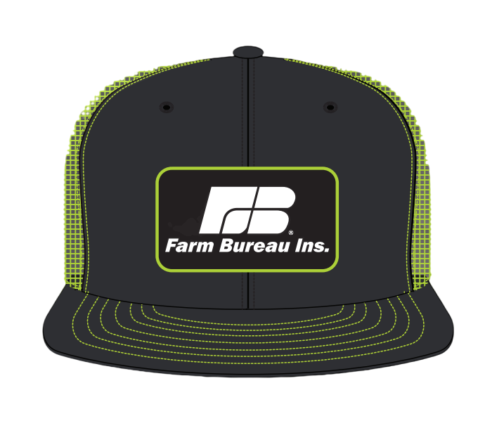 snapback (2) snapback (2)